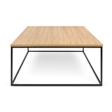 The TemaHome Gleam 30x30 Coffee Table 9500.626609